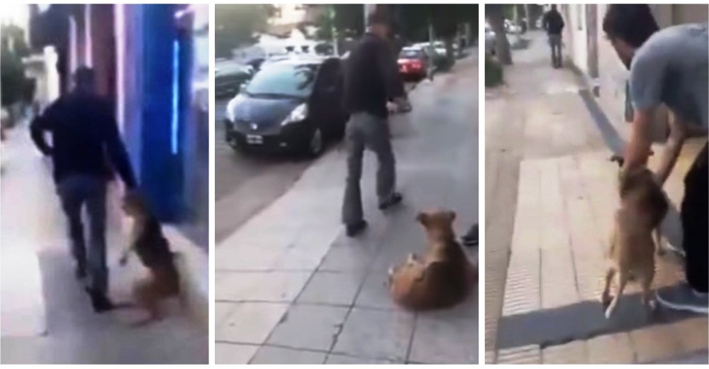 Arrastra a su perro tirándolo del collar y lo abandona en plena calle, pero se hizo justicia