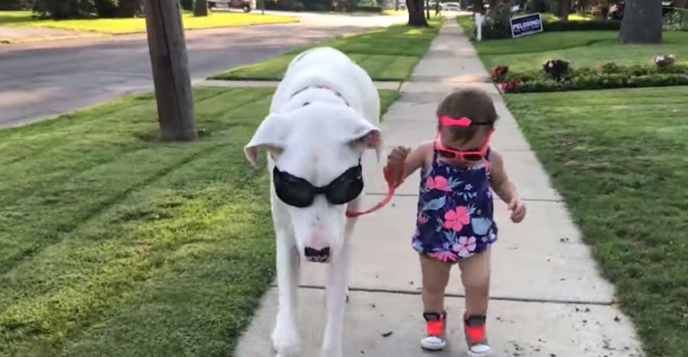 Esta bebé y su perrito sordo y ciego comparten un vínculo especial que conmueve al mundo