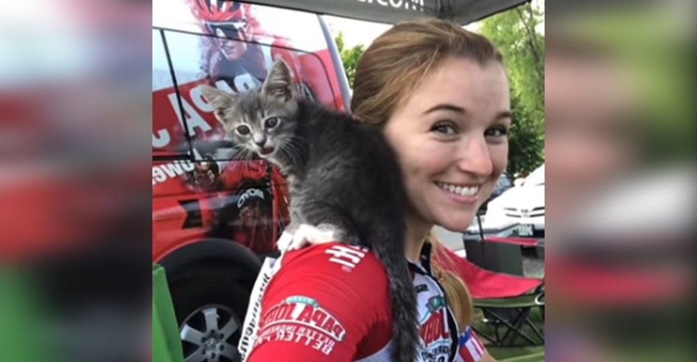 Una gatita de la calle trepa al hombro de una ciclista para suplicarle que se la lleve a casa