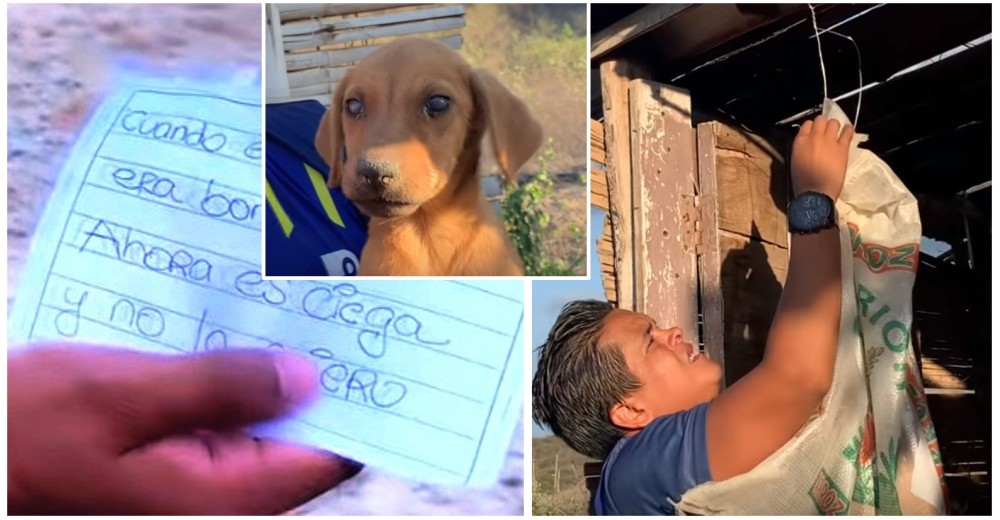 Un héroe encuentra un saco colgado con una perrita dentro y una lamentable nota