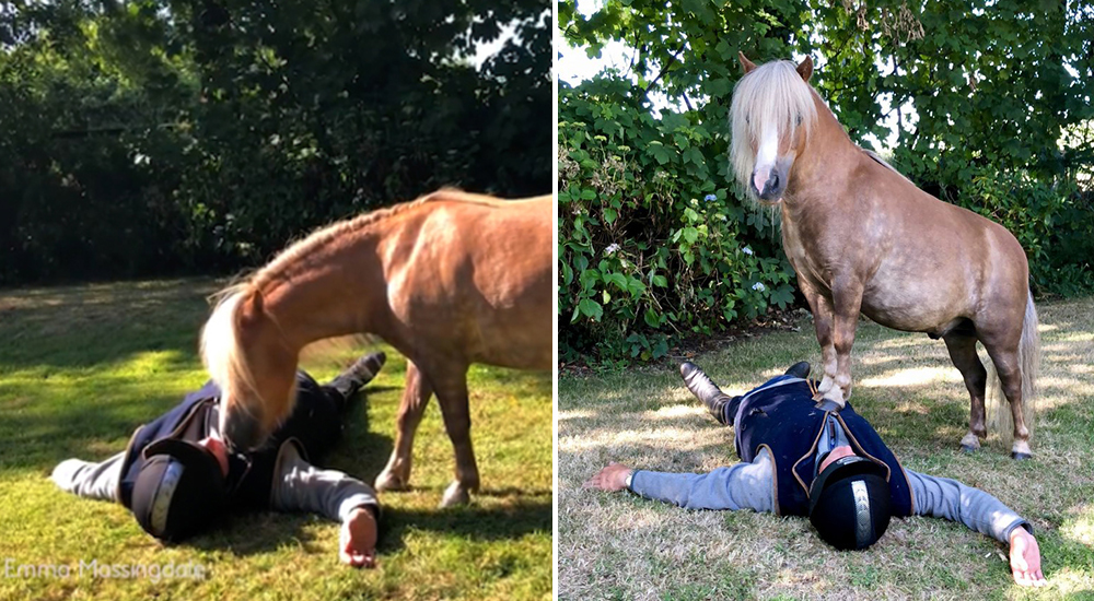 Un pony héroe salva la vida del novio de su dueña aplicándole una reanimación cardiopulmonar