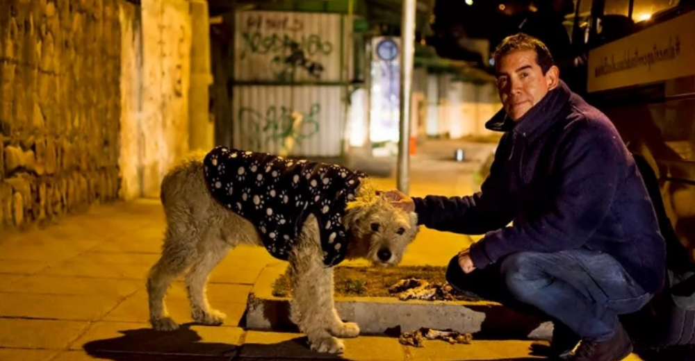 Un hombre abandona su exitoso empleo para dedicarse a alimentar a los perritos de las calles