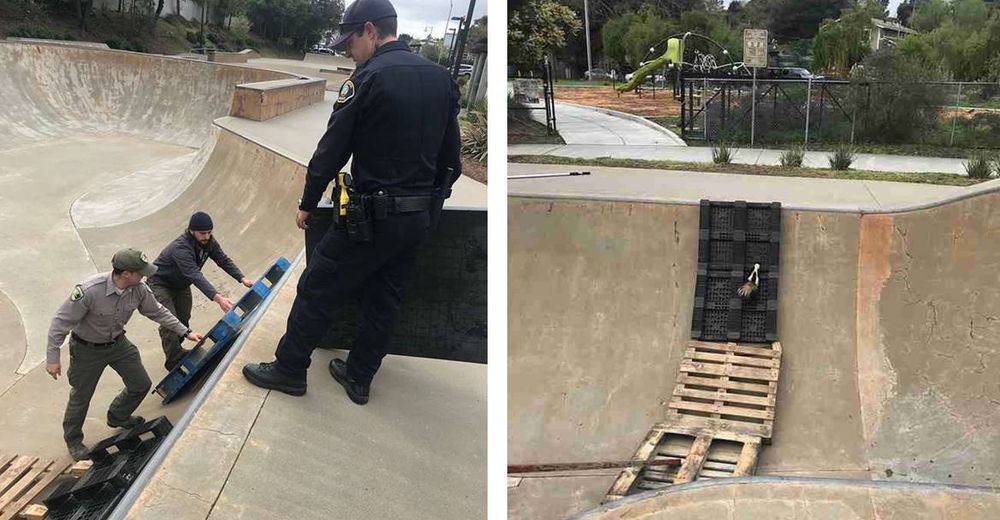 Unos policías idean la mejor manera de rescatar a una criatura atrapada en una pista de patinaje