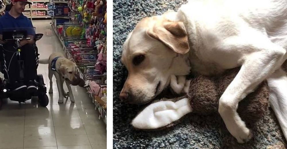 Joven cambia el sentido a su vida gracias a su perrito de servicio y decide devolverle el favor