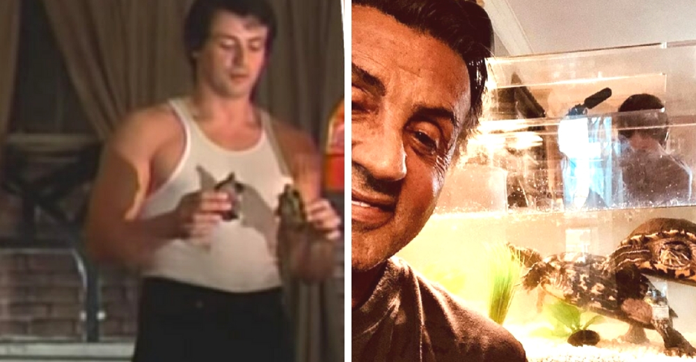 Sylvester Stallone adoptó a las dos tortugas de Rocky y ahora tienen 44 años