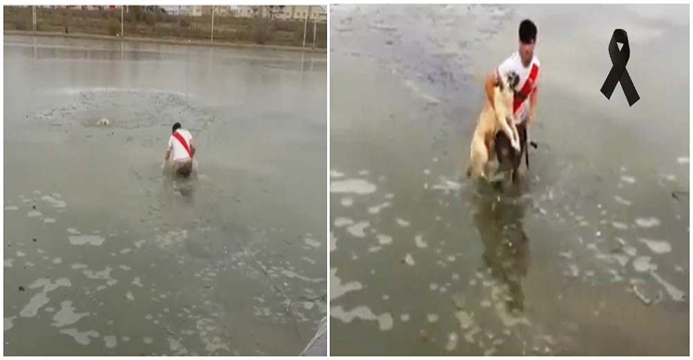 El héroe que hizo todo por salvar a un perro en un río congelado a pesar de que se lo impidieron