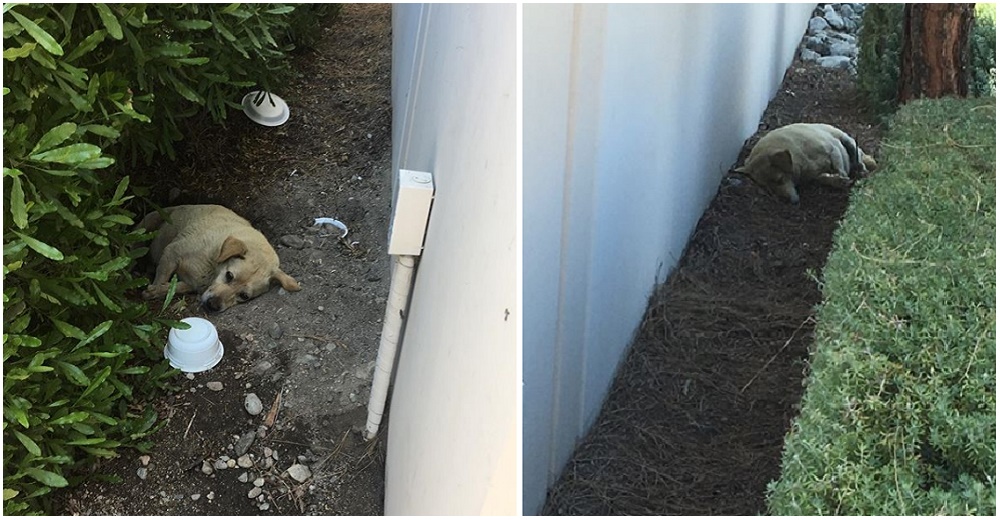 Su familia lo olvidó en su vieja casa y él se resistía a irse, pero su vida cambió para siempre