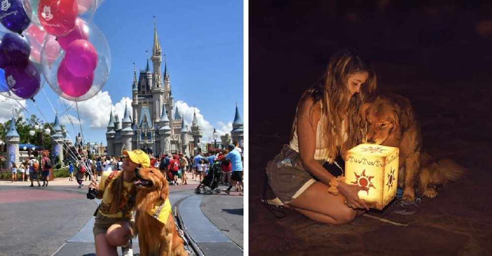 Un perrito de servicio va a Disney junto a su dueña y le hacen la sesión de fotos más adorable