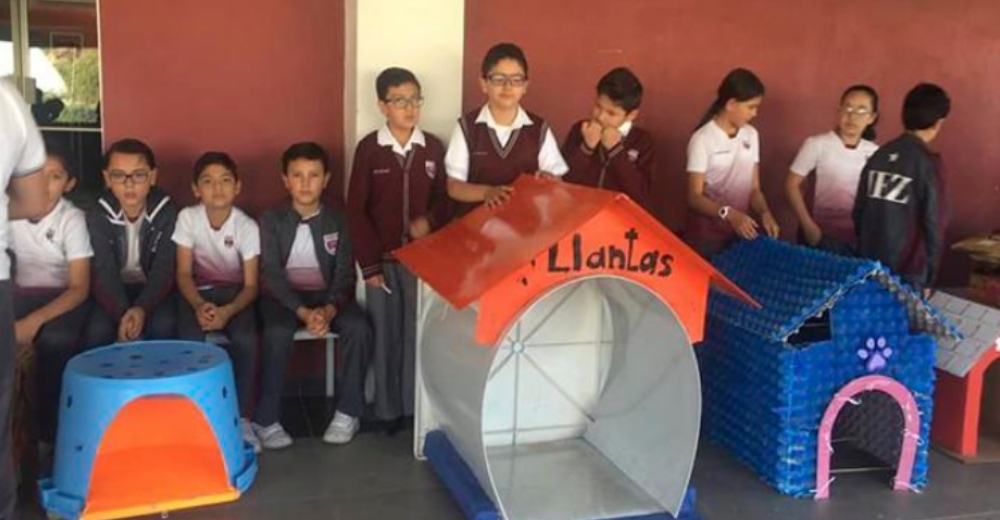 Niños de primaria crean casitas de material reciclado para perritos de la calle