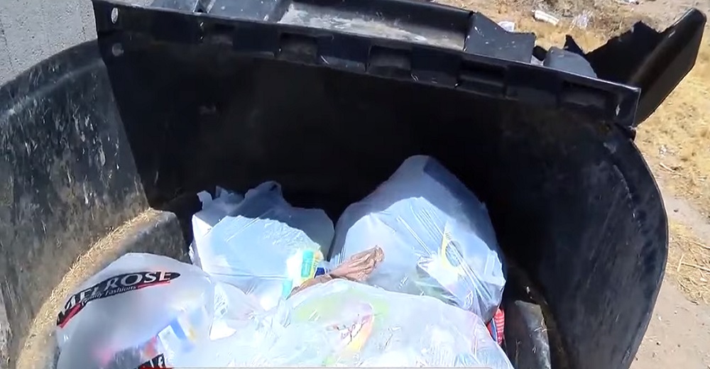 Buen samaritano que fue a tirar la basura ve que algo se mueve en una bolsa, y decide actuar