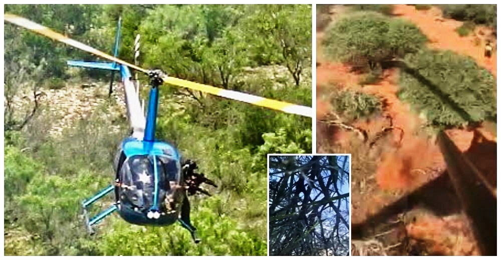 Un cazador apunta desde un helicóptero a ciervos atemorizados, pero el karma actuó de inmediato