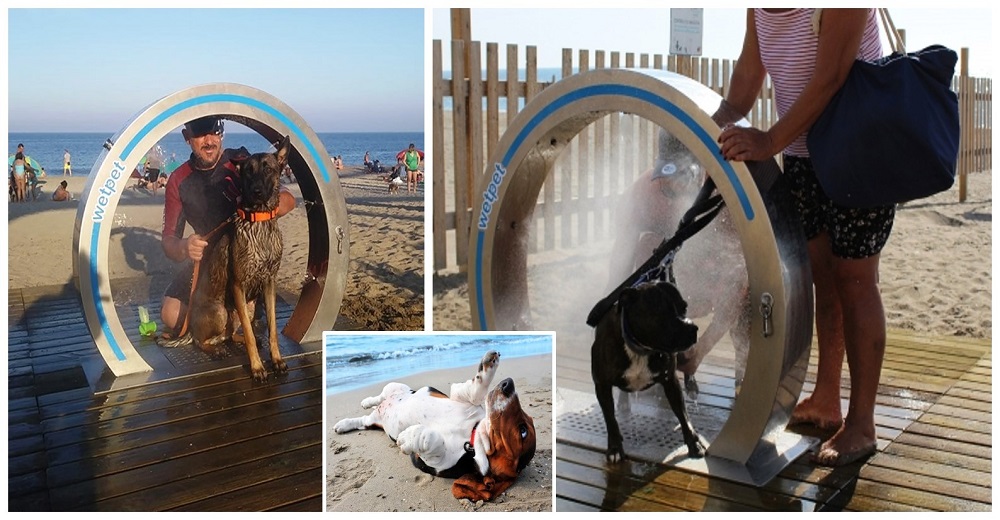 Una playa estrena duchas especiales para facilitar el aseo y cuidado de los perritos turistas