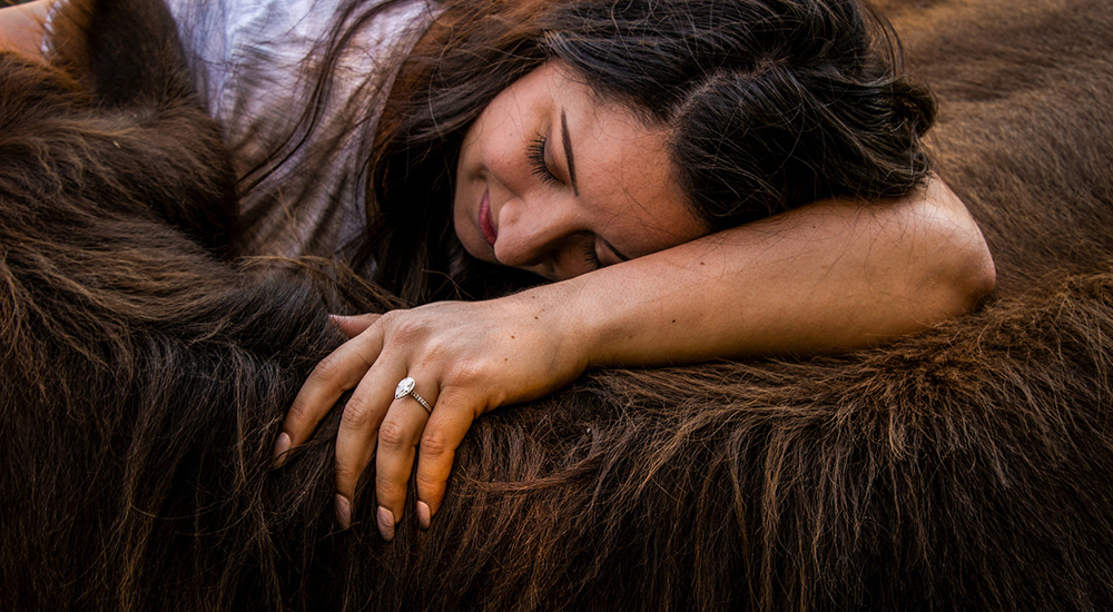 «Las caricias de las vacas» – La singular terapia emocional para humanos que muchos ignoran