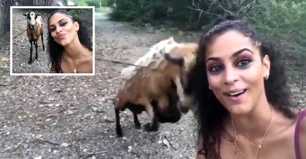 Una joven invade el espacio de una cabra para tomarse una amistosa selfie y el animal reacciona