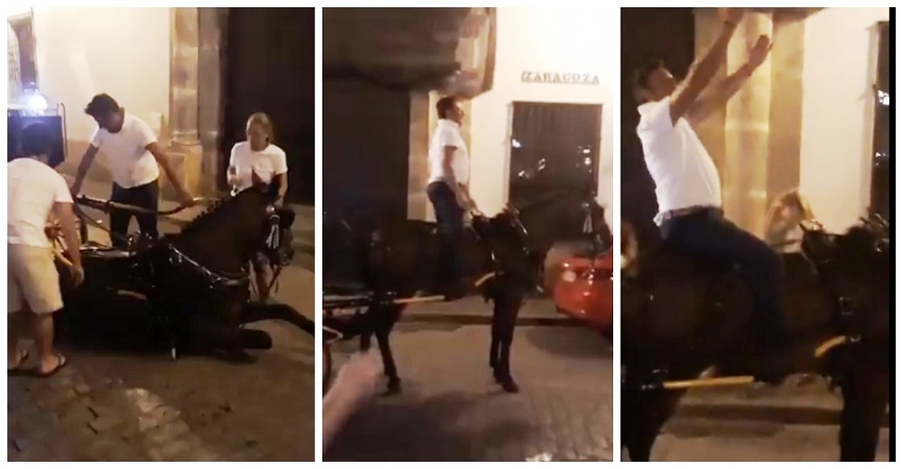 Denuncian el indignante trato de un cochero a su caballo herido tras colapsar por agotamiento