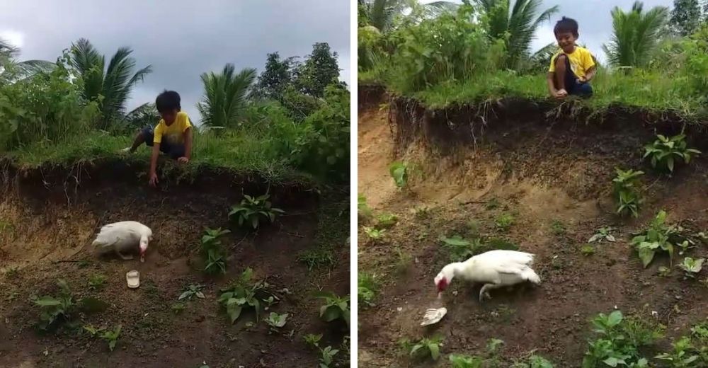 Un amable patito ayuda a un preocupado niño que perdió su sandalia tras caer por una colina