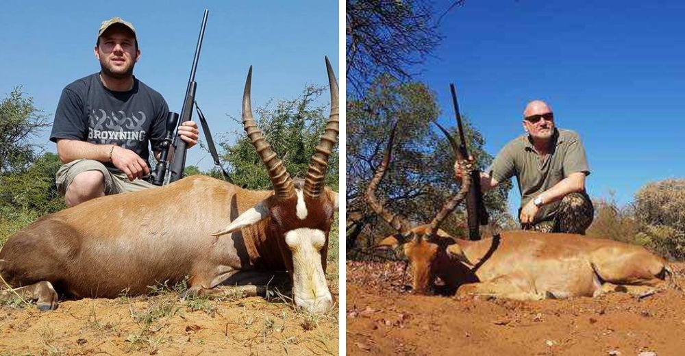 La despreciable granja que engorda animales salvajes para ofrecer el servicio de caza deportiva