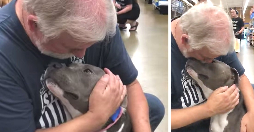 No para de agradecer a su cuidador por todo el amor recibido antes de marcharse del refugio