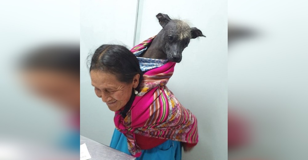 Difunden la foto de la mujer que cargó a su perro por kilómetros en la espalda y se hace viral