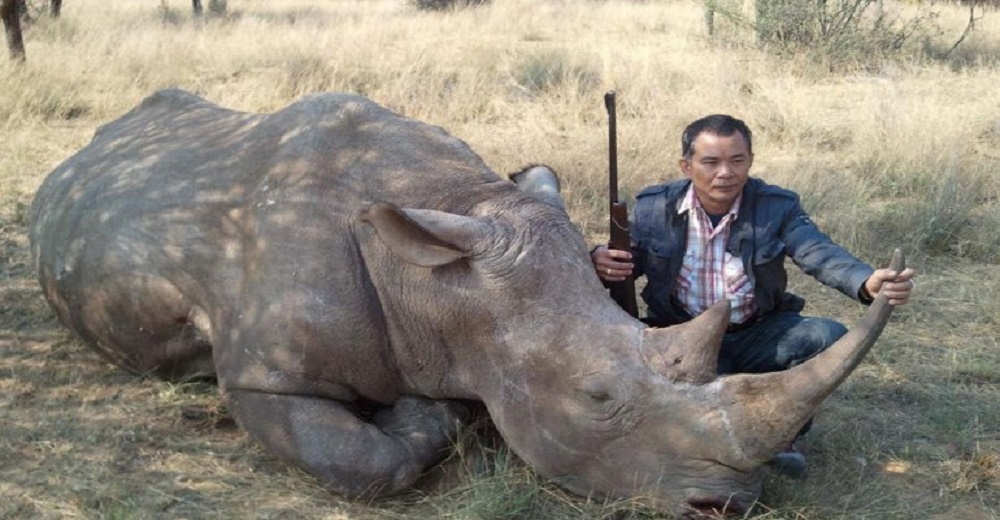 Deciden aumentar la caza de rinocerontes negros para promover la “conservación de la especie»