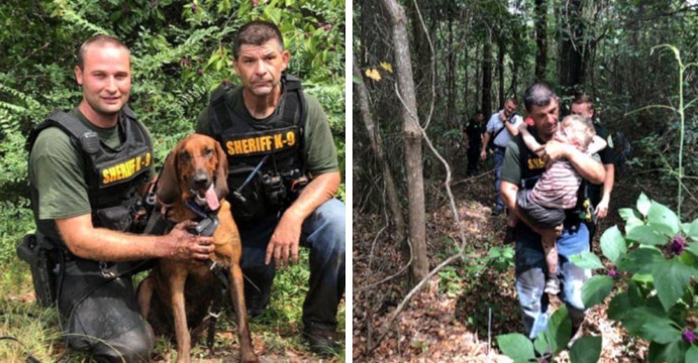 Un heroico perro policía logra encontrar en menos de 30 minutos a un niño autista desaparecido