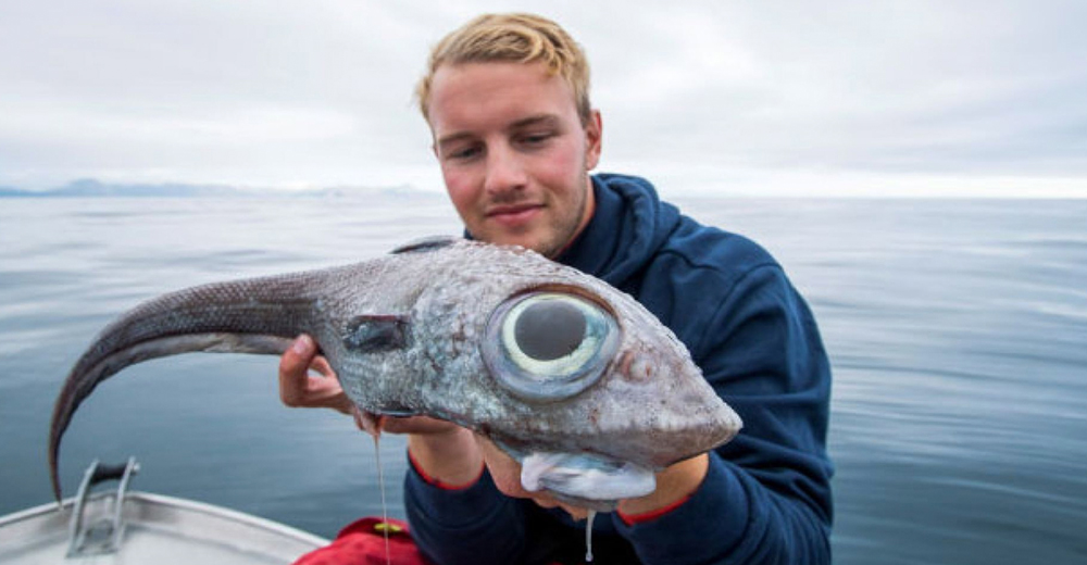 Un joven pesca un extraño ejemplar que parece ser de la familia de los dinosaurios