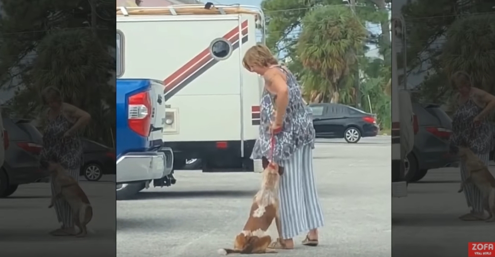 Detienen a una mujer que fue grabada golpeando y ahogando a su perro en un estacionamiento