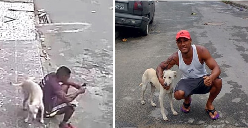 Un perro se hace pis sobre un extraño y contra todo pronóstico se convierte en su nueva familia