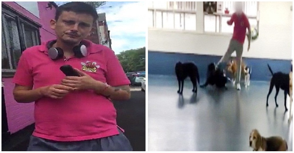 Se filtra el video del trato que recibían perritos en una guardería canina