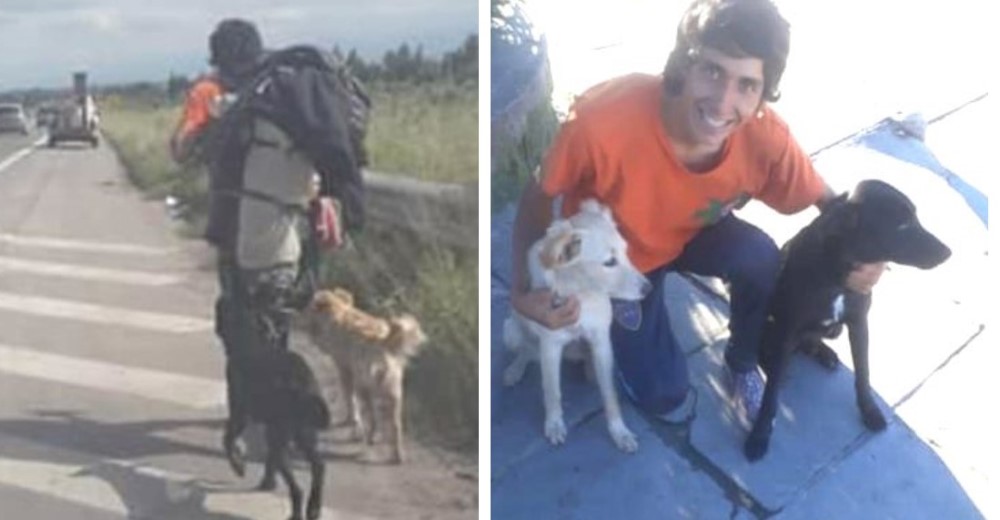 Se ve obligado a regresar a su país caminando tras rescatar a 2 perros abandonados en el viaje