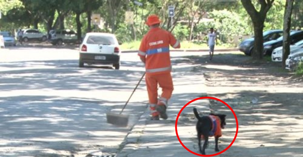 Captan en la calle un perro con el mismo uniforme de un barrendero del que no se separa jamás