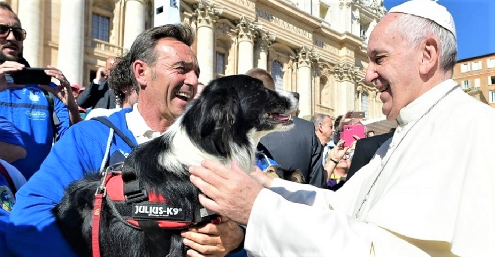 El Papa consuela un niño que perdió a su mascota y le asegura que todos los perros van al cielo