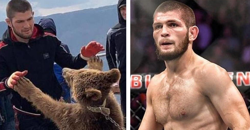 El polémico vídeo que publicó un orgulloso boxeador entrenando con un oso encadenado