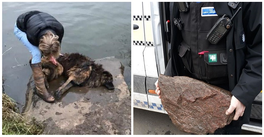 La arrojaron al río junto a una pesada roca pero llegó una mujer para librarla de su calvario