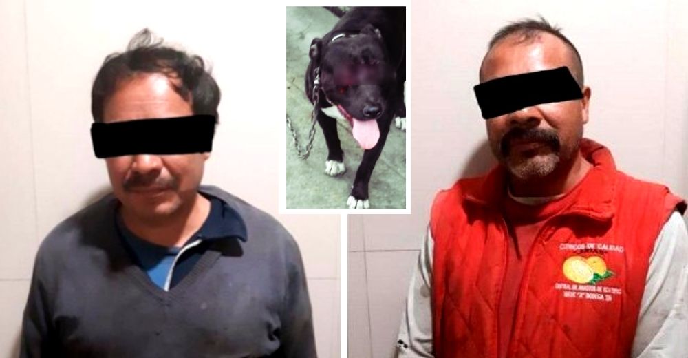 Capturan en flagrante delito a 2 sujetos sin corazón que usaban a perros como cebo