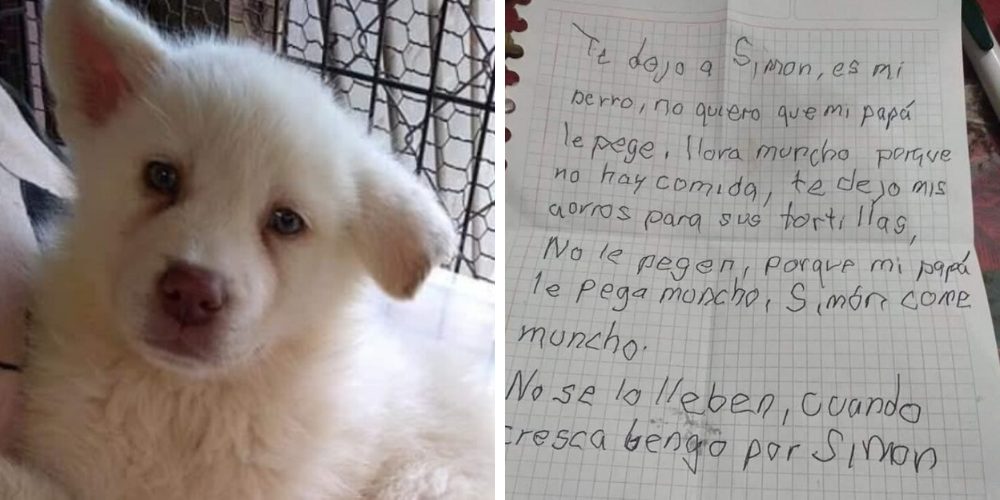 «Mi papá le pega mucho» – Un niño deja a su perro en un refugio con una devastadora carta