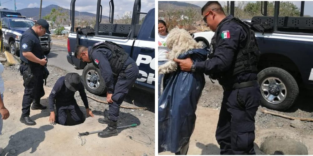 Escuchan llantos al fondo de una alcantarilla y los policías hacen de todo por salvarlo