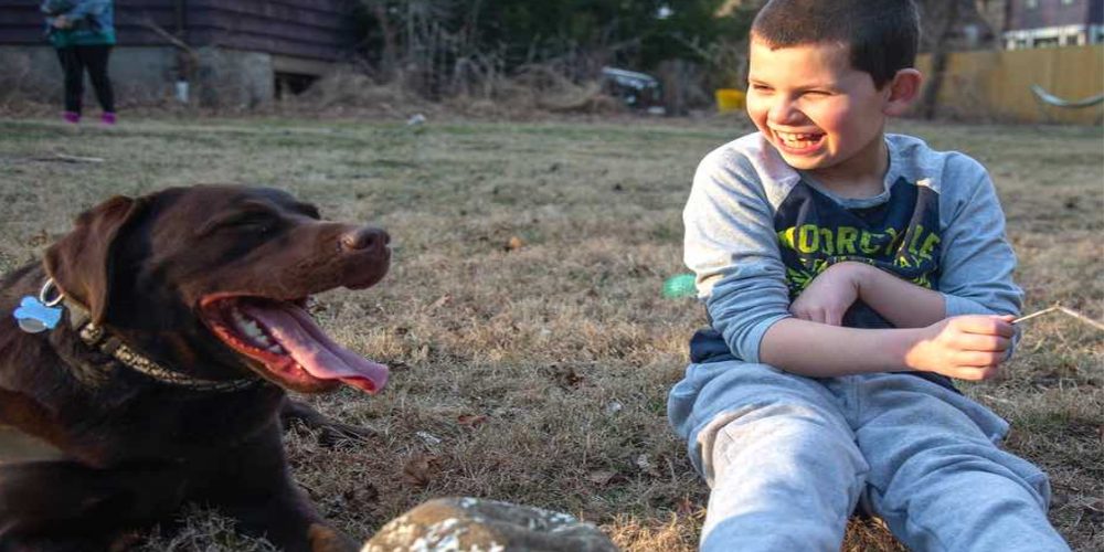 Un perrito se convierte en el mejor amigo de un niño de 10 años que tiene autismo