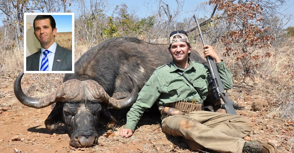 Donald Trump Jr. participa en una millonaria subasta para cazar animales durante 7 días