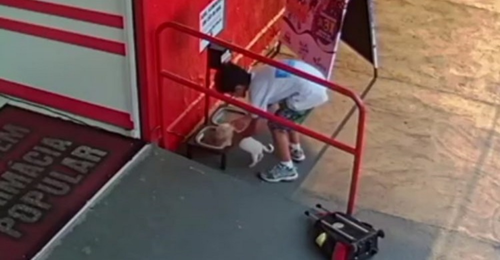 Graban la reacción de un humilde niño al ver a un perro que moría de hambre en la calle