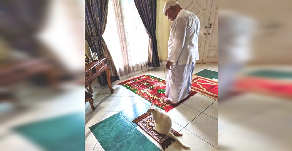 Gatita recibe su propia mini alfombra para unirse al momento de la oración de toda la familia