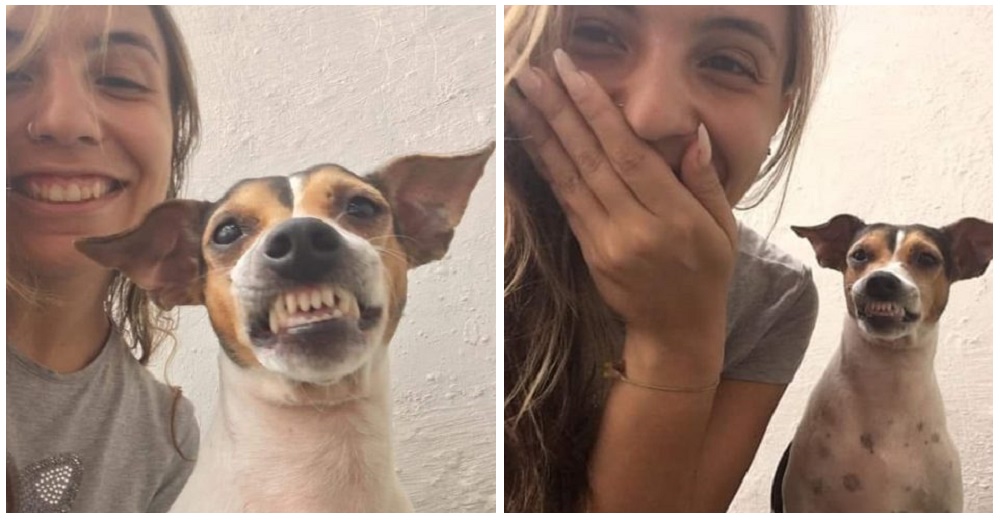 Le pide a un perrito de un refugio tomarse una selfie y él le regala su mejor sonrisa