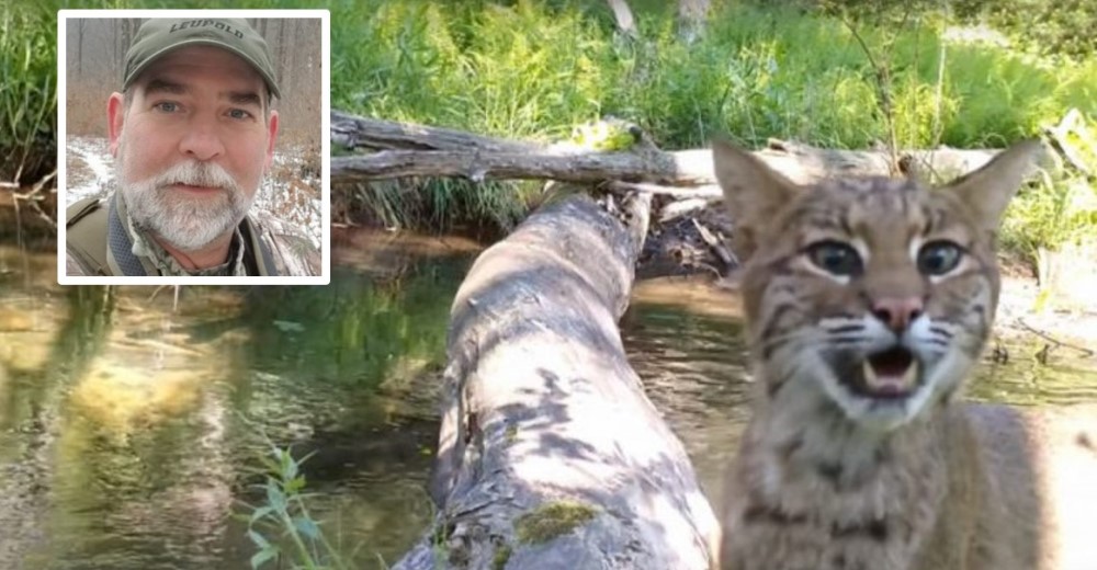 Deja una cámara oculta en un bosque para compartir impactantes escenas de los animales salvajes