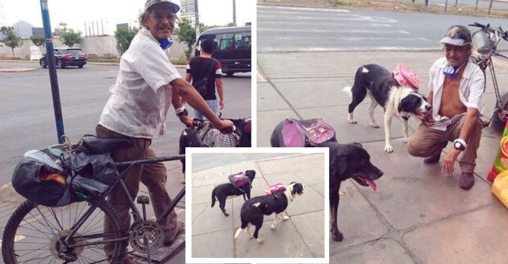 Anciano hace de todo para llevar alimento a los perritos de la calle a pesar de la cuarentena