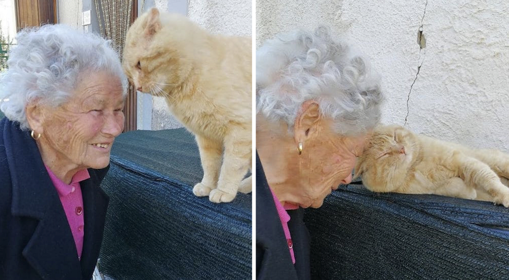 El reencuentro de una anciana y su gato que desapareció hace 4 años tras un terremoto