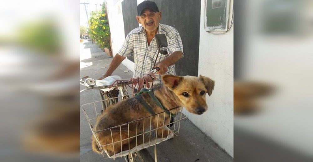 Abuelo de 90 años saca fuerzas para pedalear su bici y llevar a su perro anciano al veterinario