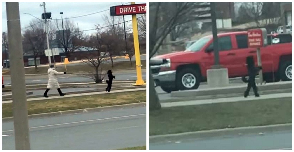 Habla la dueña del perrito que impactó a todos por caminar como un humano por la calle