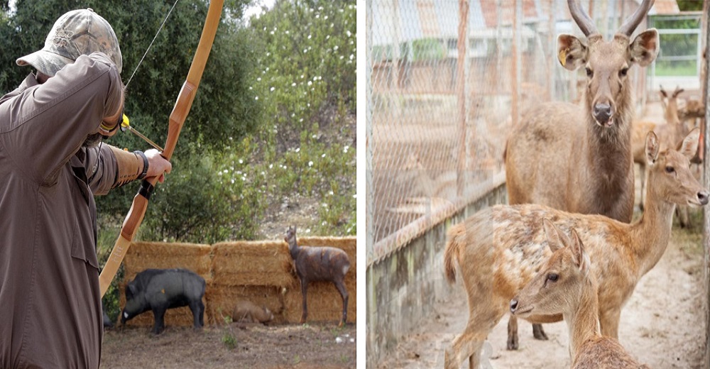 Salen a la luz los oscuros intereses que mueven a los cazadores amparados en una excusa perfecta