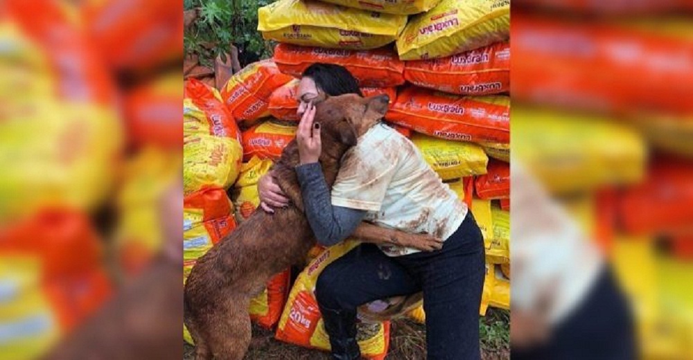 El gesto de un perrito de un refugio en apuros con la mujer que hizo una valiosa donación