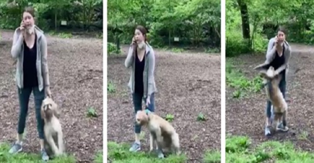 La mujer que reaccionó casi ahogando a su perro, lo recupera de nuevo y las redes enfurecen